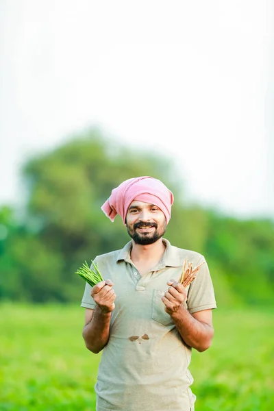 Maharashtra Look Farmer Happy Farmer Standing Cwopea Farm — Stock Photo, Image