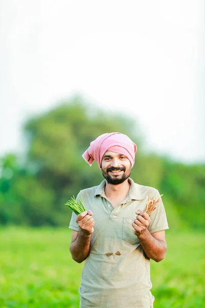 マハラシュトラは クワピア農場に立っている農民 幸せな農夫に見えます — ストック写真