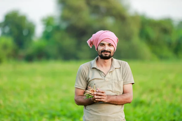 Maharashtra look farmer, happy farmer standing in Cwopea farm