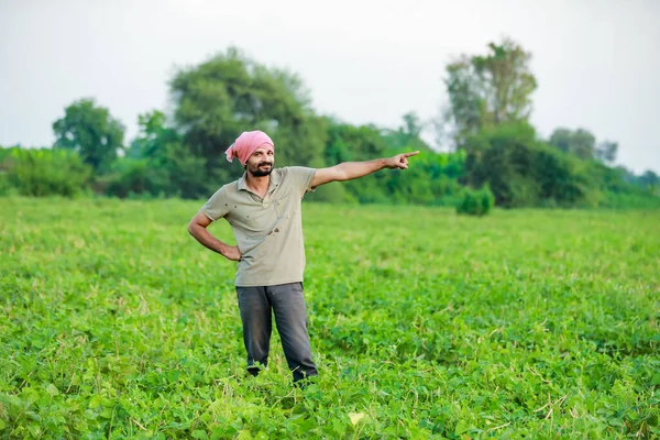 Maharashtra Bak Çiftçi Mutlu Çiftçi Cwopea Çiftliğinde Duruyor — Stok fotoğraf