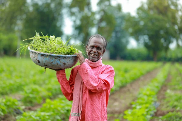 Indian Happy Farm Worker Working Farm — Stock Photo, Image