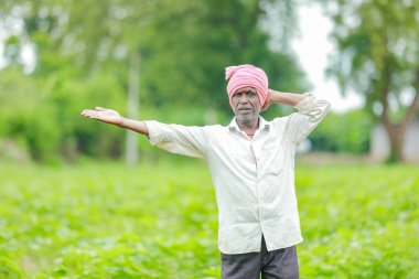 Pamuk tarlasında pamuk ağacı gösteren Hintli çiftçi, mutlu çiftçi.