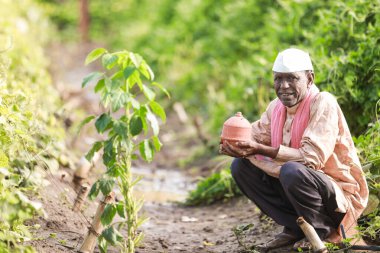 Çiftlikte domuz kumbarası tutan Hintli çiftçi mutlu çiftçi, fakir çiftçi, çiftçi tasarruf