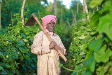 Hintli çiftçi Mutlu Hintli çiftçi çiftlikte duruyor, boş eller ekiyor