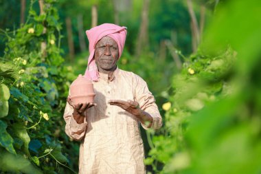 Çiftlikte domuz kumbarası tutan Hintli çiftçi mutlu çiftçi, fakir çiftçi, çiftçi tasarruf