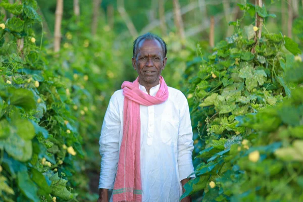 Hodowla Indyjska Szczęśliwy Indyjski Rolnik Stojący Farmie Siejący Puste Ręce — Zdjęcie stockowe