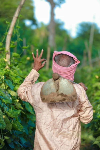 Індійське Фермерство Щасливий Фермер Тримає Скарбничку Фермі Бідний Фермер Фермер — стокове фото