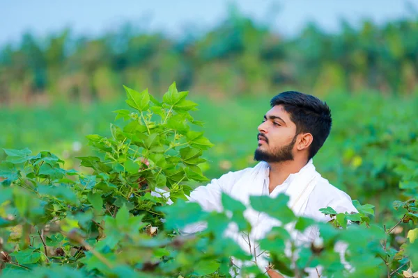 Agricultor Indiano Segurando Algodão Mão Feliz Jovem Agricultor — Fotografia de Stock