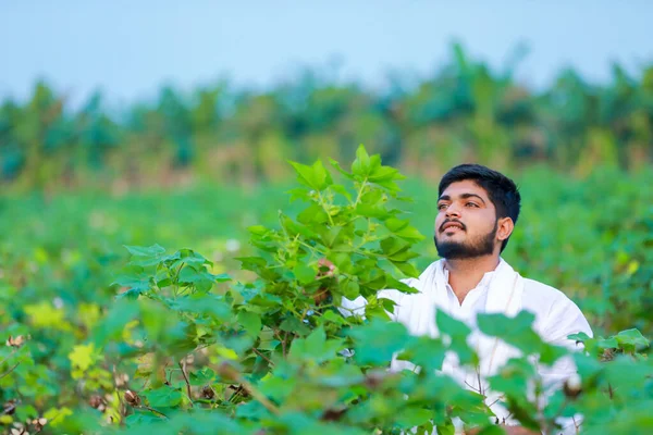 Indiase Boer Met Katoen Hand Gelukkige Jonge Boer — Stockfoto