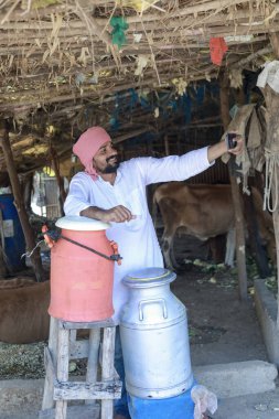 Mutlu Hintli çiftçi çiftlikte süt satıyor - süt üretimi kavramı tarım otobüsleri, kırsal Hindistan, büyüme ve tarım