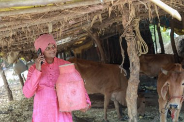 Mutlu Hintli çiftçi çiftlikte süt satıyor - süt üretimi kavramı tarım otobüsleri, kırsal Hindistan, büyüme ve tarım