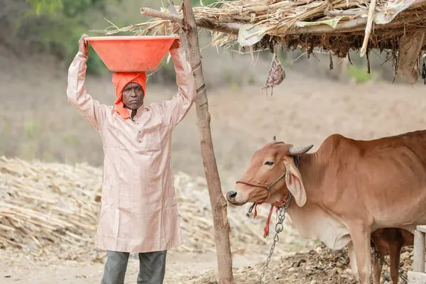 Indian farmer carrying the basket on her head, happy farmer, poor farm worker