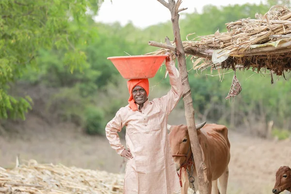 Indian farmer carrying the basket on her head, happy farmer, poor farm worker