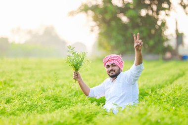 Mutlu Hintli genç çiftçi, Nohut çiftliğinin tadını çıkar.