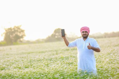 Hintli mutlu çiftçi kişniş çiçeği hasat ediyor, başarılı çiftçilik