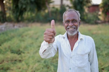 Nohut tarlasında mutlu Hintli çiftçi