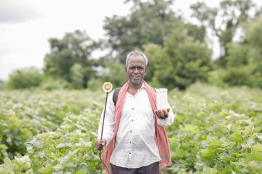 Çiftlik arazisinde çalışan Hintli çiftçi toprağa ve bitkilere gübre püskürtüyor. Zavallı çiftçi, mutlu çiftçi, yaşlı çiftçi.