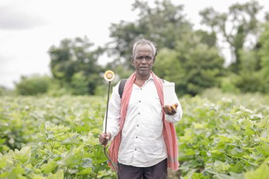Çiftlik arazisinde çalışan Hintli çiftçi toprağa ve bitkilere gübre püskürtüyor. Zavallı çiftçi, mutlu çiftçi, yaşlı çiftçi.