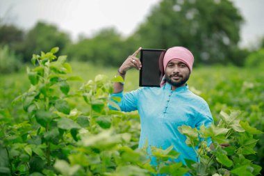 Mutlu genç Hintli çiftçi akıllı telefon kullanıyor, çiftçi tablet gösteriyor, ekranı işaret ediyor