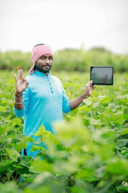 Mutlu genç Hintli çiftçi akıllı telefon kullanıyor, çiftçi tablet gösteriyor, ekranı işaret ediyor