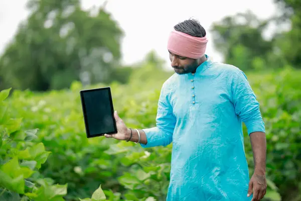 Mutlu genç Hintli çiftçi akıllı telefon kullanıyor, çiftçi tablet gösteriyor, ekranı işaret ediyor