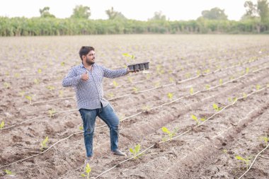 Genç Hintli çiftçi elinde muz ağacı, doku kültürü, akıllı genç çiftçi.