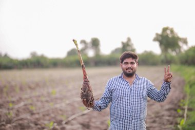 Genç Hintli çiftçi elinde muz ağacı, doku kültürü, akıllı genç çiftçi.