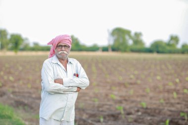 Yaşlı Hintli çiftçi, bebek muz ağacı, doku kültürü, akıllı yaşlı çiftçi.