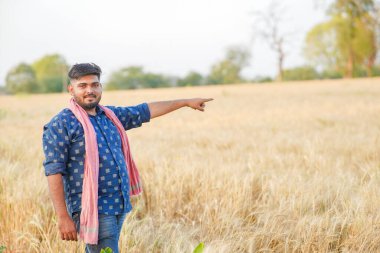 Genç Hintli akıllı çiftçi buğday çiftliğinde duruyor