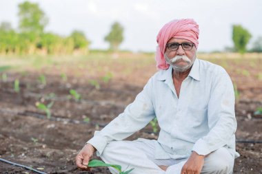 senior smart farmer , old farmer, indian farming, happy farmer , attitude of successful farming clipart