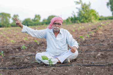 senior smart farmer , old farmer, indian farming, happy farmer , attitude of successful farming clipart