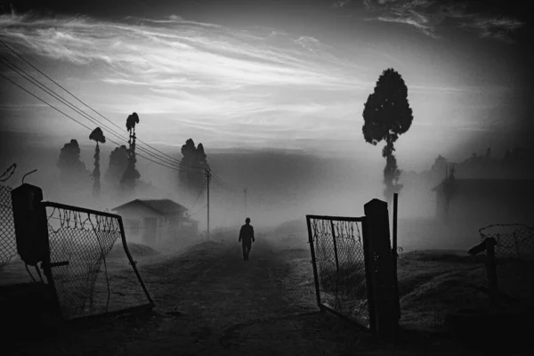 Amidst Misty Skies Monochrome Silhouette Emerges Gracefully Approaching Surreal Horizon — Stock Photo, Image