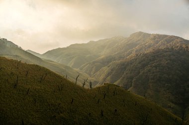 Nagaland 'daki doğanın çarpıcı güzelliği.