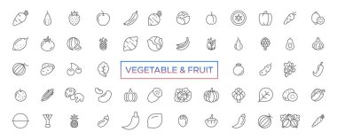Meyveler ve sebzeler - ince çizgi ağ simgesi seti. Taslak simge koleksiyonu. Basit vektör illüstrasyonu