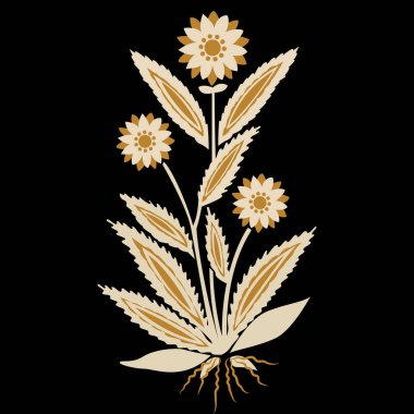 Dramatik bir siyah arkaplan karşısında canlı çiçekler açıyor.