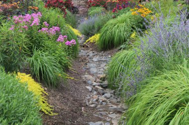 Güzel bahçe çiçekleri ve yeşil çalılar