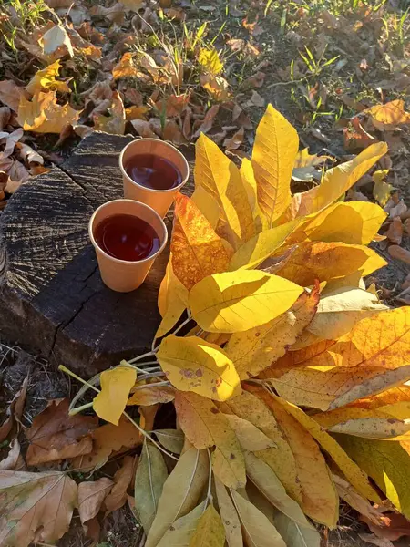 Sonbahar yaprakları yerde.