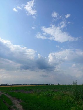 Çimen tarlası ve bulutlu gökyüzü olan güzel bir manzara.