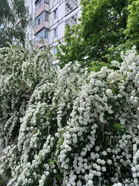 Zaman bulutları şehrin üzerine çöktü