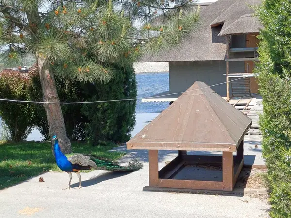 Şehrin güzel manzarası