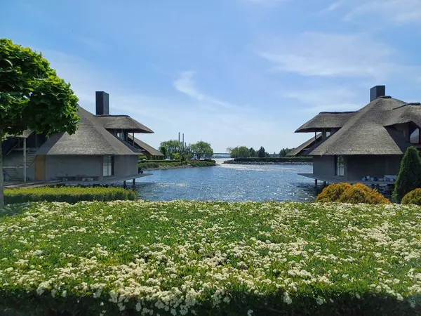 kırsal alanın manzarası, seçici odak