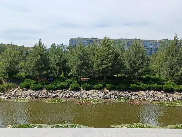 Yazın parkın manzarası.