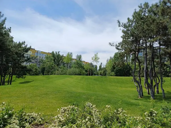 Parkın güzel manzarası