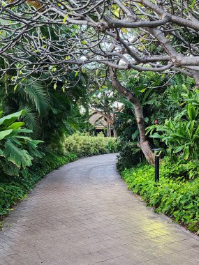 Cennette bir yürüyüş