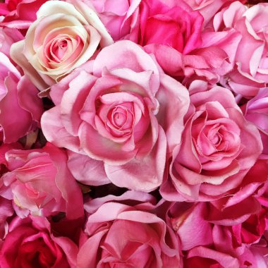 Gül kırmızısı ve pembe kağıt.