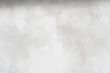 Metin veya resim için alanı olan büyük grunge arkaplanı.