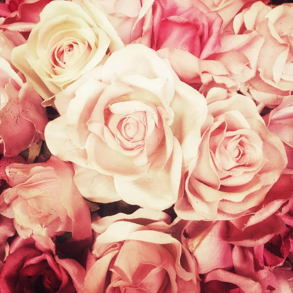 Vintage Roses White Pink Texture Background — Stock Photo, Image