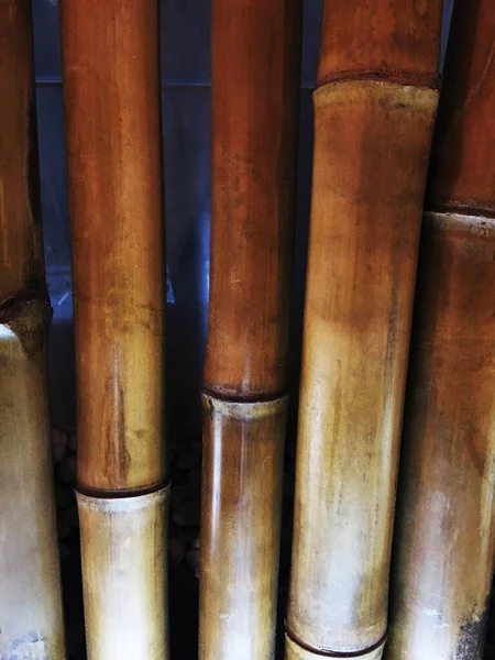 Pareti Sono Decorate Con Bambù Cosparso Rocce Luci — Foto Stock