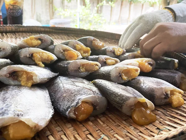 Thailand Matahari Ikan Asin Kering Gourami Kulit Ular Kering Pasaran — Stok Foto