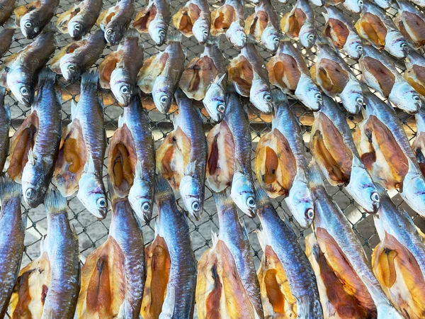Peixe Seco Rede Pequeno Peixe Seco Aldeia Pesca — Fotografia de Stock